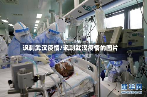 讽刺武汉疫情/讽刺武汉疫情的图片-第3张图片