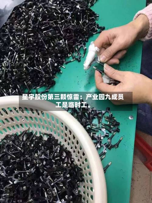 星宇股份第三颗惊雷：产业园九成员工是临时工	。-第2张图片