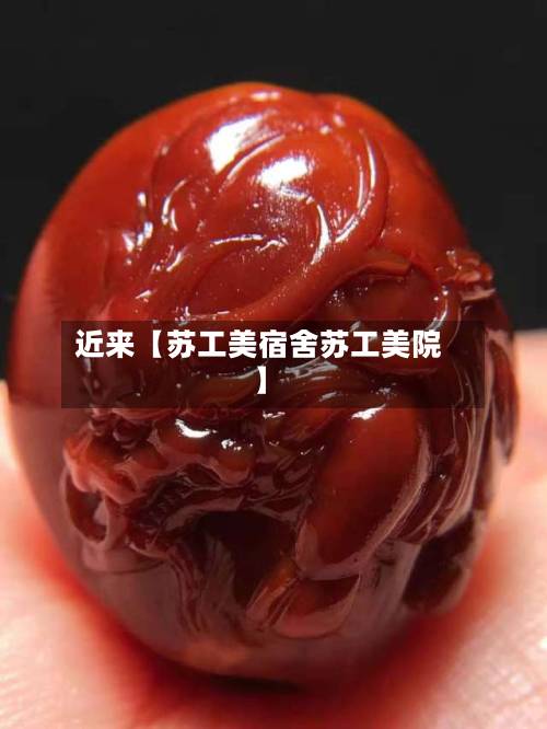 近来【苏工美宿舍苏工美院】-第1张图片