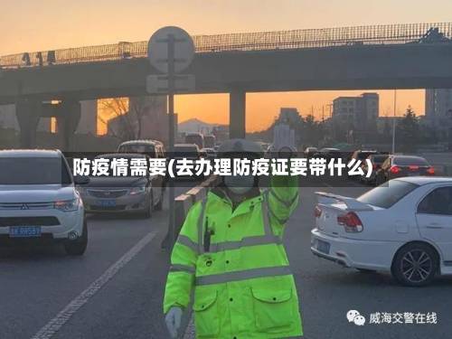 防疫情需要(去办理防疫证要带什么)-第1张图片