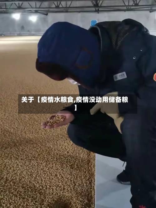 关于【疫情水粮食,疫情没动用储备粮】