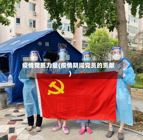 疫情党员力量(疫情期间党员的贡献)-第3张图片