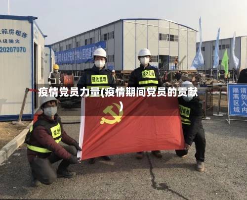 疫情党员力量(疫情期间党员的贡献)-第2张图片