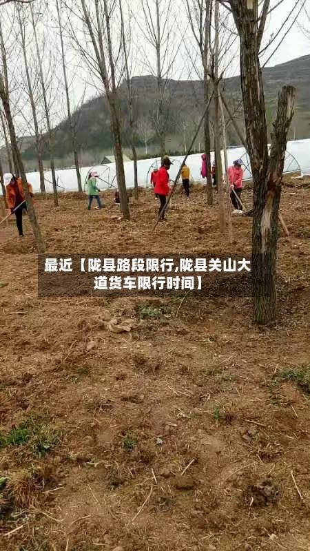 最近【陇县路段限行,陇县关山大道货车限行时间】-第1张图片