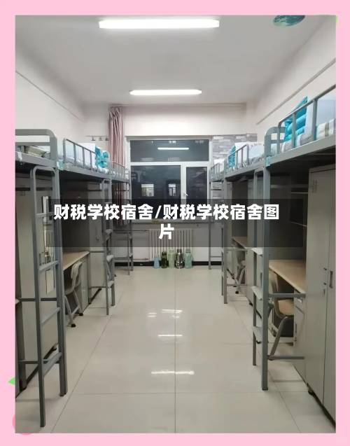 财税学校宿舍/财税学校宿舍图片