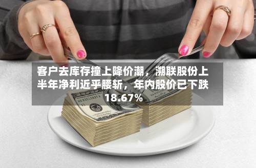 客户去库存撞上降价潮，溯联股份上半年净利近乎腰斩，年内股价已下跌18.67%