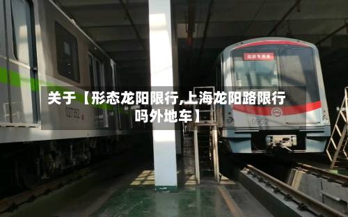 关于【形态龙阳限行,上海龙阳路限行吗外地车】-第1张图片