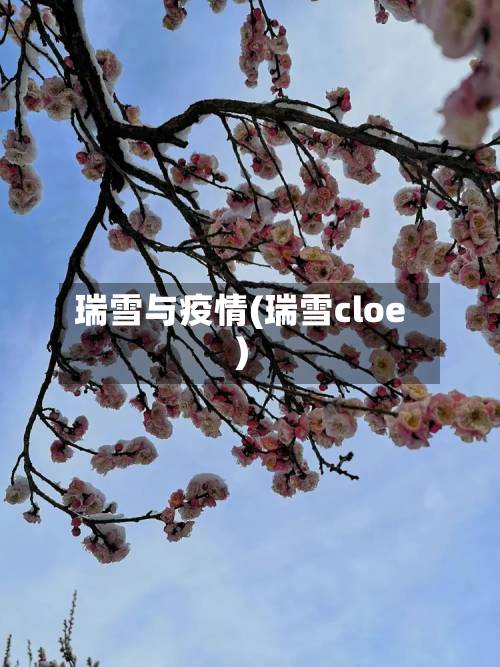 瑞雪与疫情(瑞雪cloe)-第2张图片