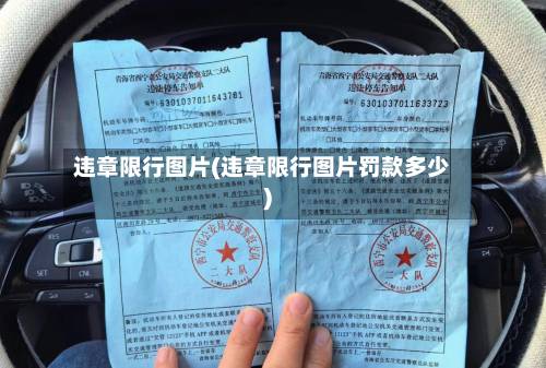 违章限行图片(违章限行图片罚款多少)