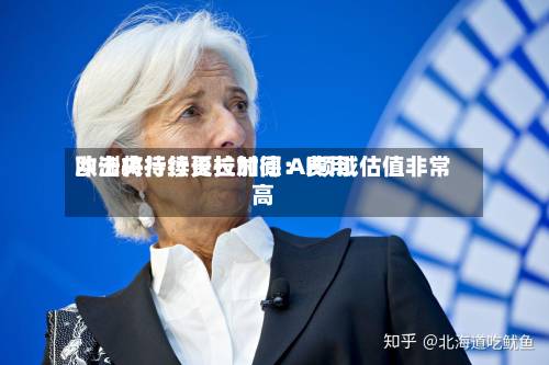 欧洲央行行长拉加德：费用冲击将持续更长时间 AI领域估值非常高-第2张图片
