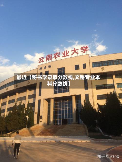 最近【秘书学录取分数线,文秘专业本科分数线】-第2张图片
