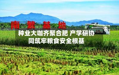 种业大咖齐聚合肥 产学研协同筑牢粮食安全根基-第3张图片