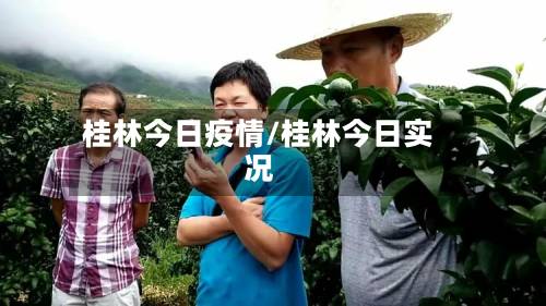 桂林今日疫情/桂林今日实况-第3张图片