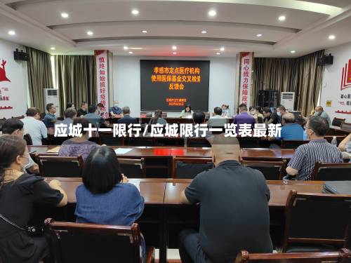 应城十一限行/应城限行一览表最新