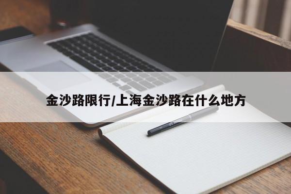 金沙路限行/上海金沙路在什么地方